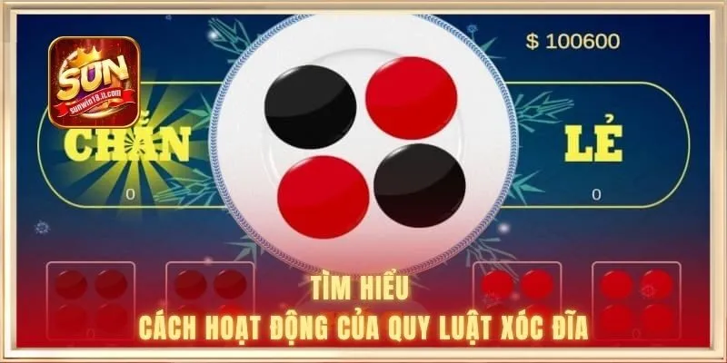 Tìm hiểu cách hoạt động của quy luật xóc đĩa